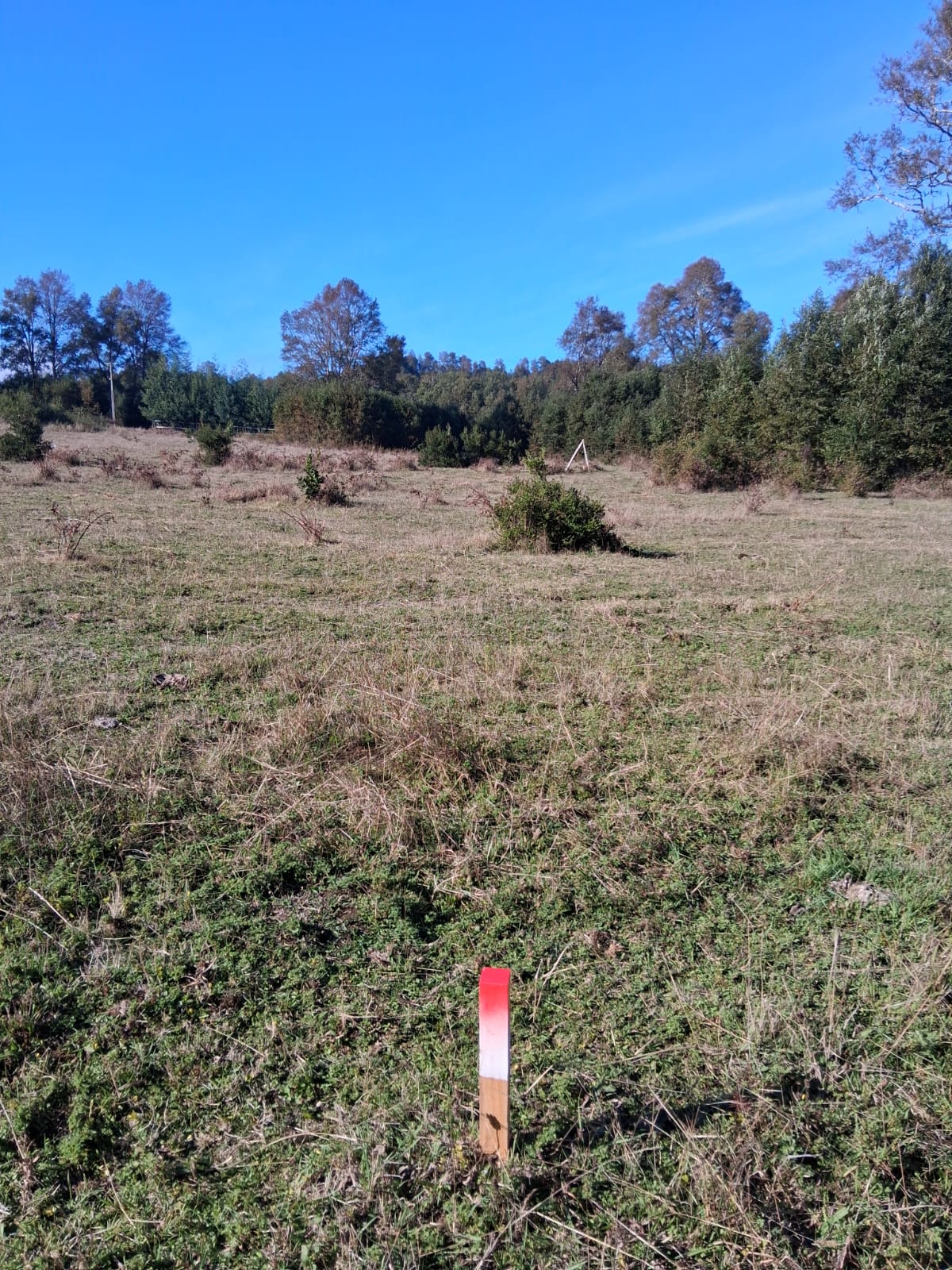 Parcela para agrado o inversion. 