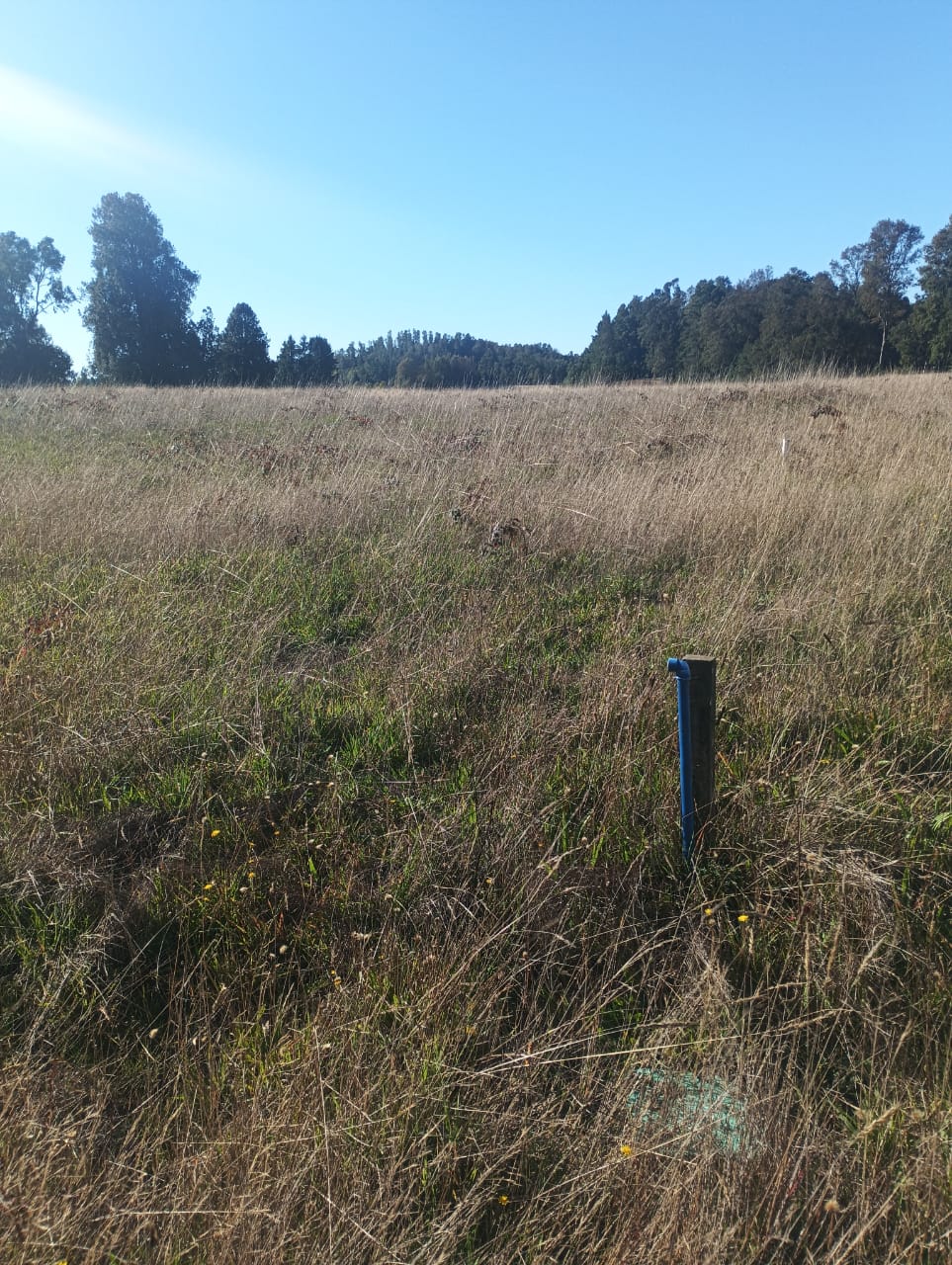 Parcela de agrado. 
